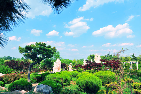 園林綠化景觀(guān)