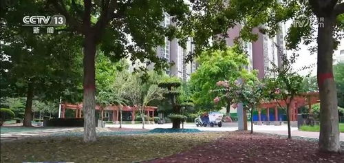 變廢為寶 園林綠化垃圾實(shí)現(xiàn)循環(huán)利用